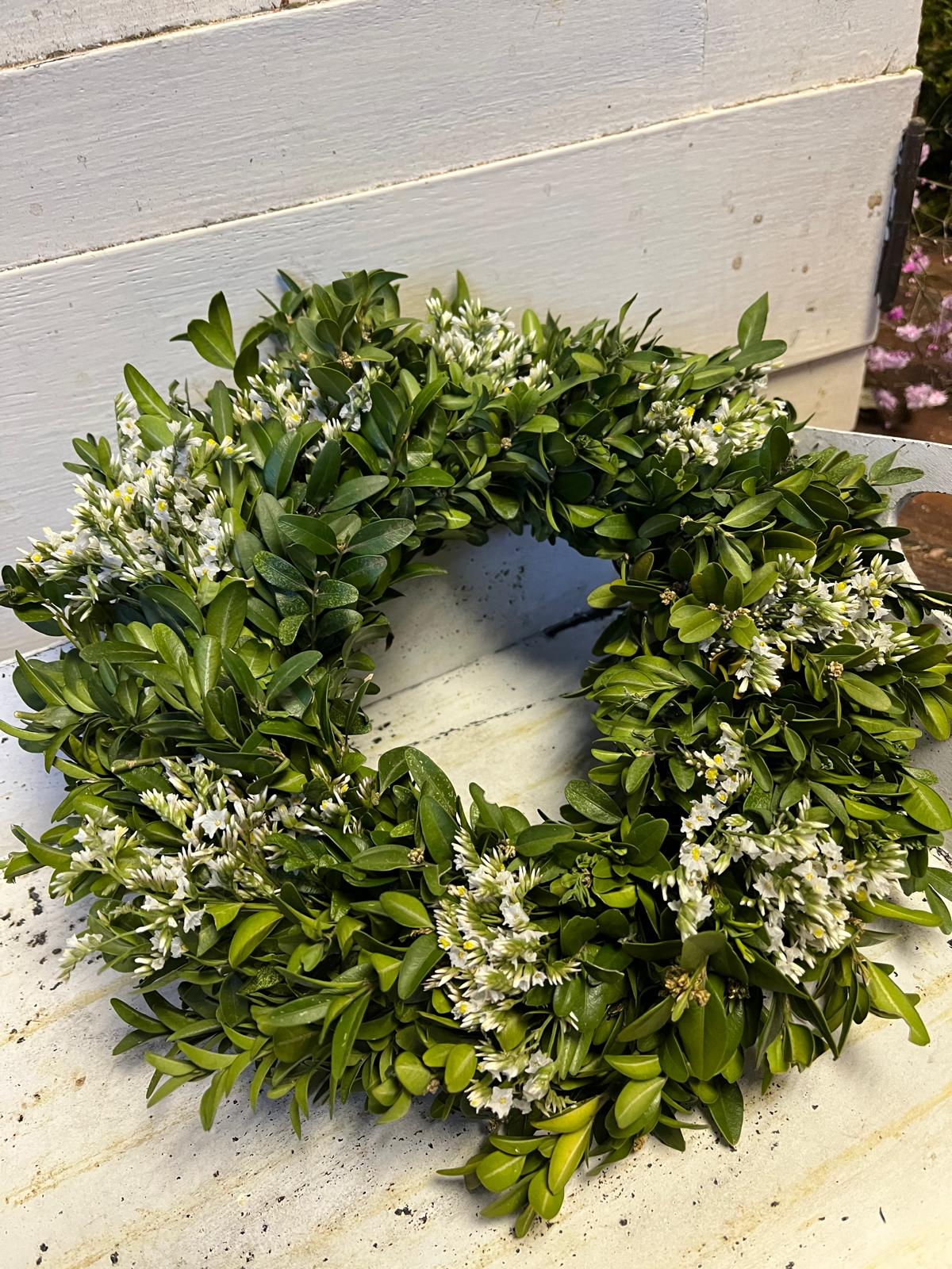 Buxkranz mit Strandflieder – Türkranz oder Tischdeko – Handgebunden