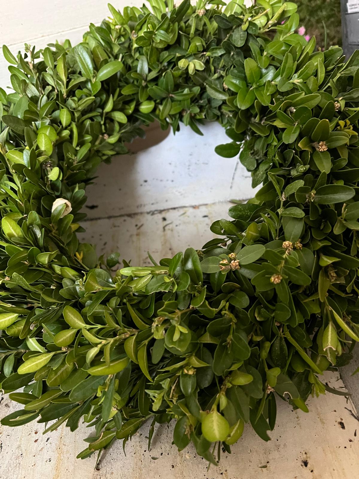 Zeitloser Buxkranz – Handgebunden – Türkranz oder Tischdeko aus Buchsbaum