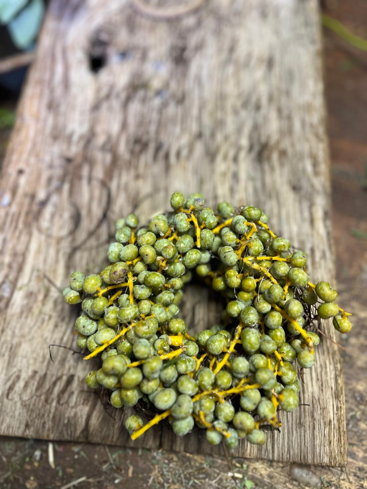 Kleiner Deko-Kranz mit Datteln: Rustikales Unikat