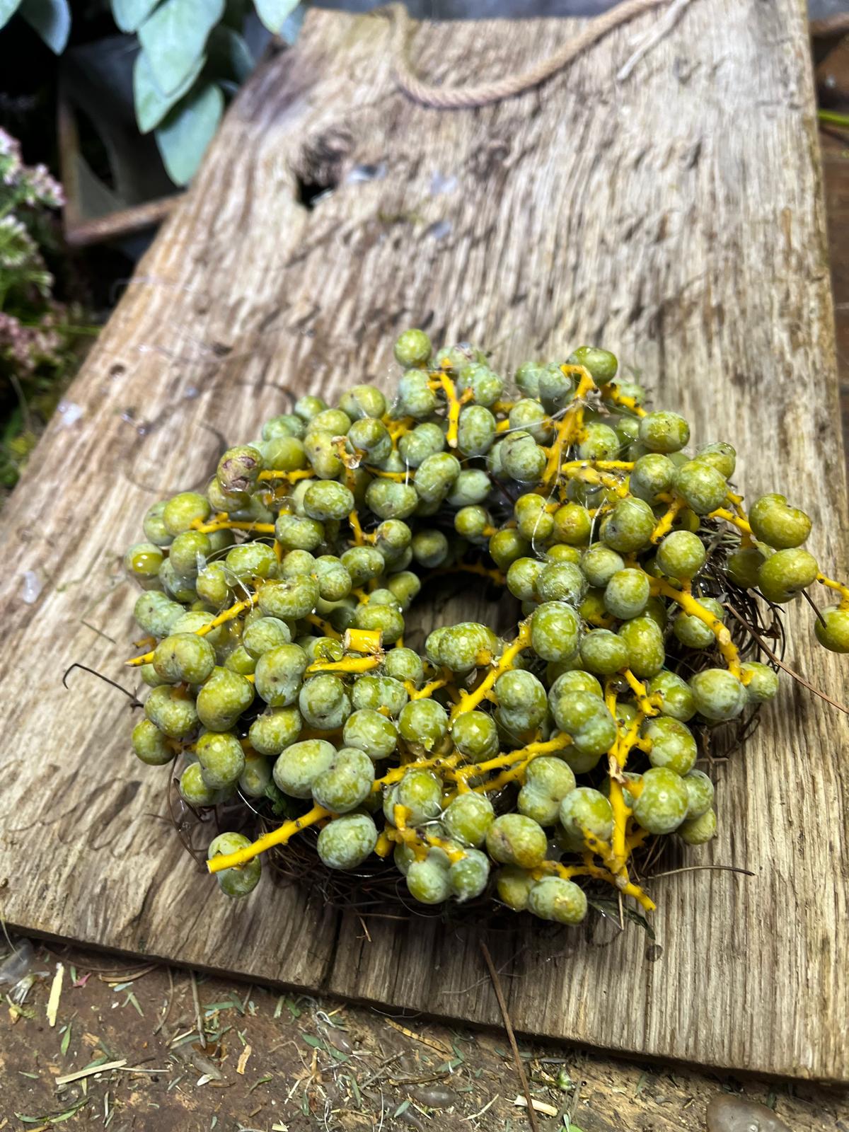 Kleiner Deko-Kranz mit Datteln: Rustikales Unikat