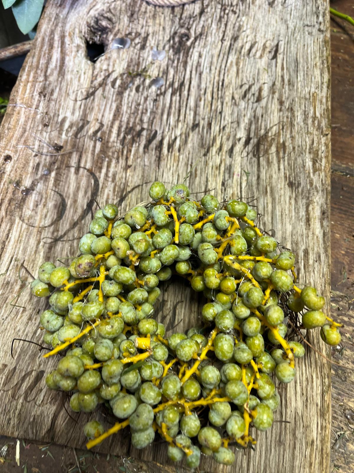 Kleiner Deko-Kranz mit Datteln: Rustikales Unikat