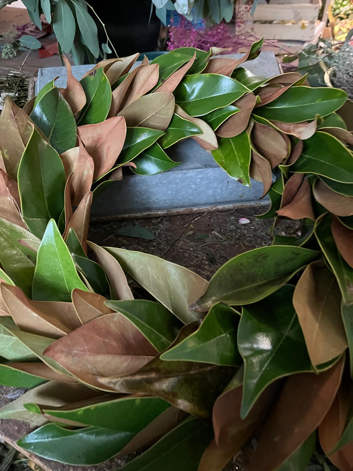 Eleganter Kranz aus Magnolienblättern: Große Größen