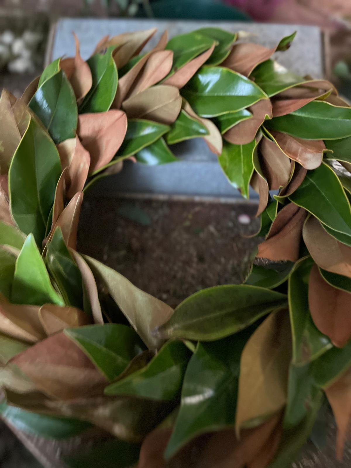 Eleganter Kranz aus Magnolienblättern: Große Größen