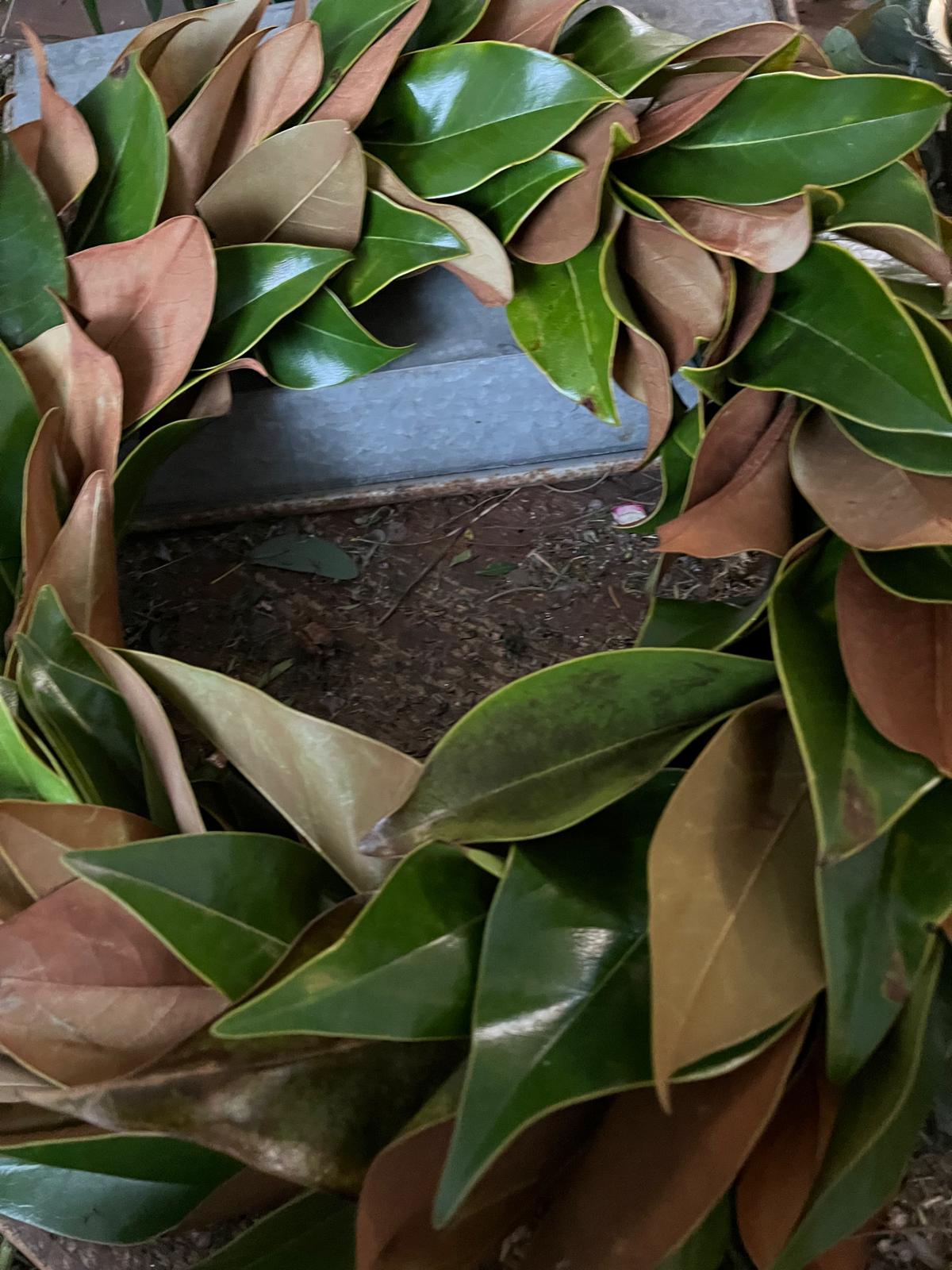 Eleganter Kranz aus Magnolienblättern: Große Größen