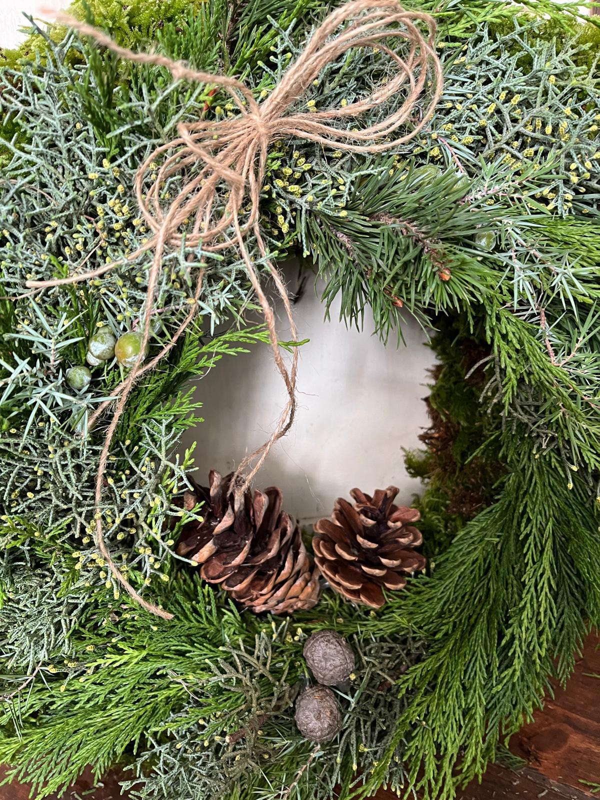 Langlebiger Mooskranz (40/50 cm) – Dick gebunden mit Tanne & Zapfen