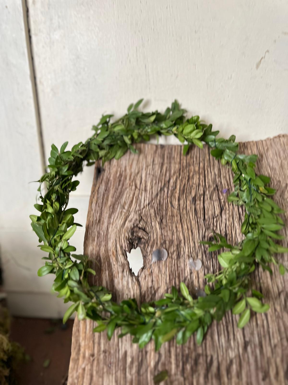 Dünner grüner Naturkranz – Handgefertigter Dekokranz – Zeitlose Wand- & Tischdeko – 12cm bis 30cm – Trocknet schön ein