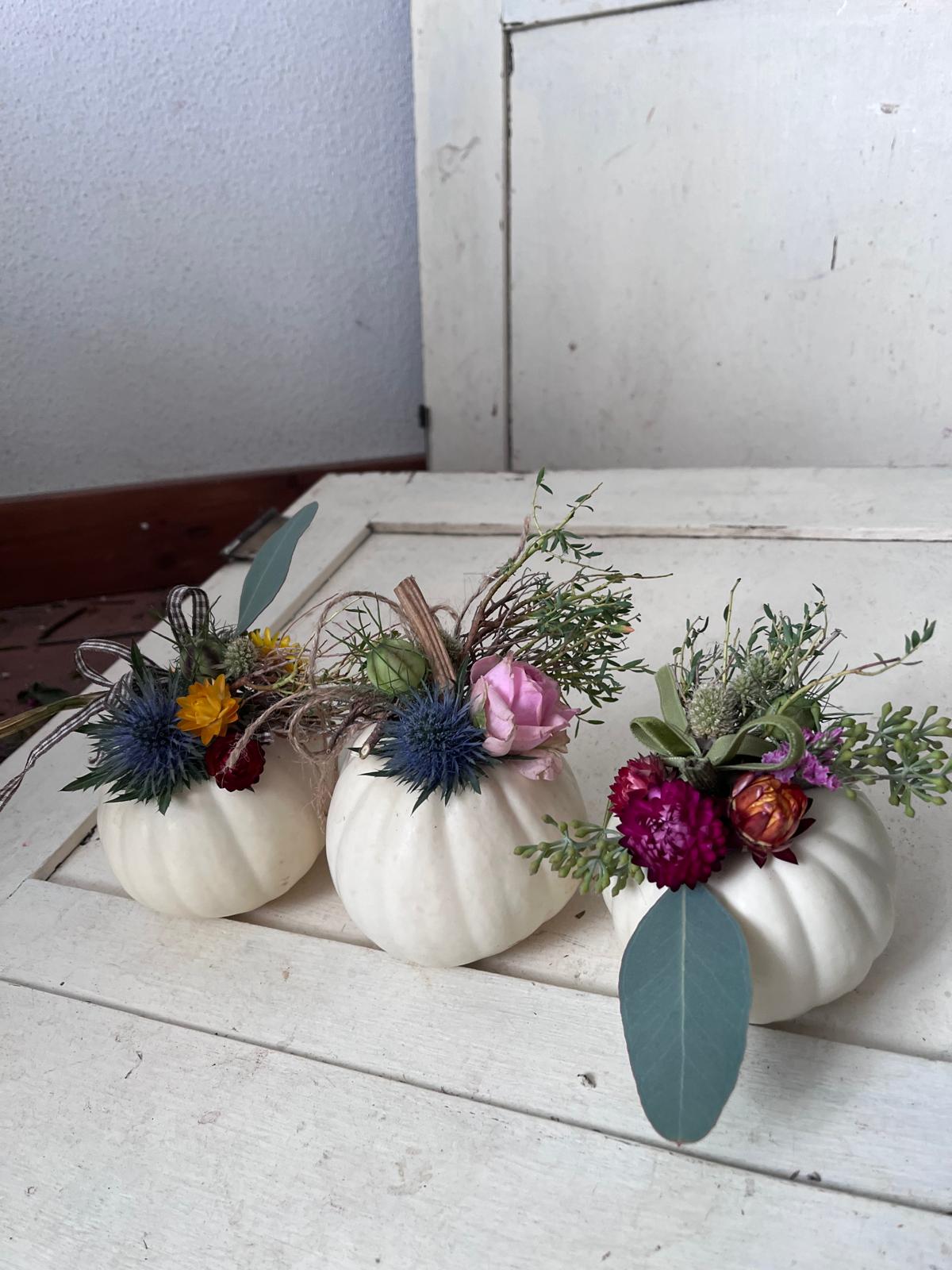 Herbstdeko Unikat: Echter Deko-Kürbis für Tisch & Party (ca. 9x10 cm)