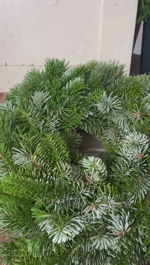 Premium Tannen-Kranz aus Bayern (25/30/35 cm) – Frisch & Dick gebunden